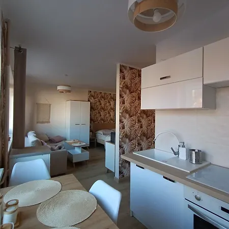 W Srebrnym Mieście Apartament Tarnowskie Góry