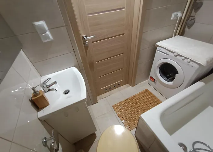 W Srebrnym Miescie تارنوفسكي غوره