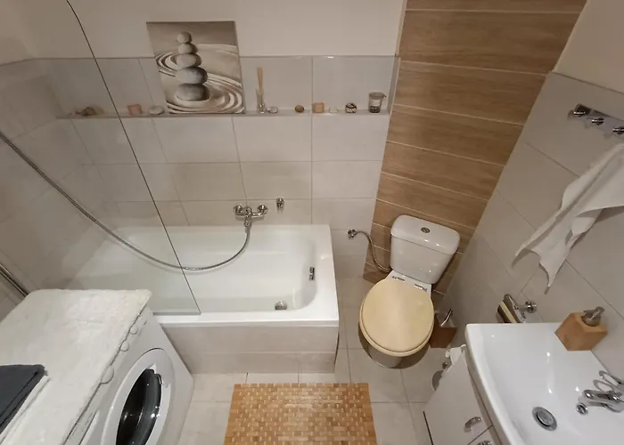 W Srebrnym Miescie *